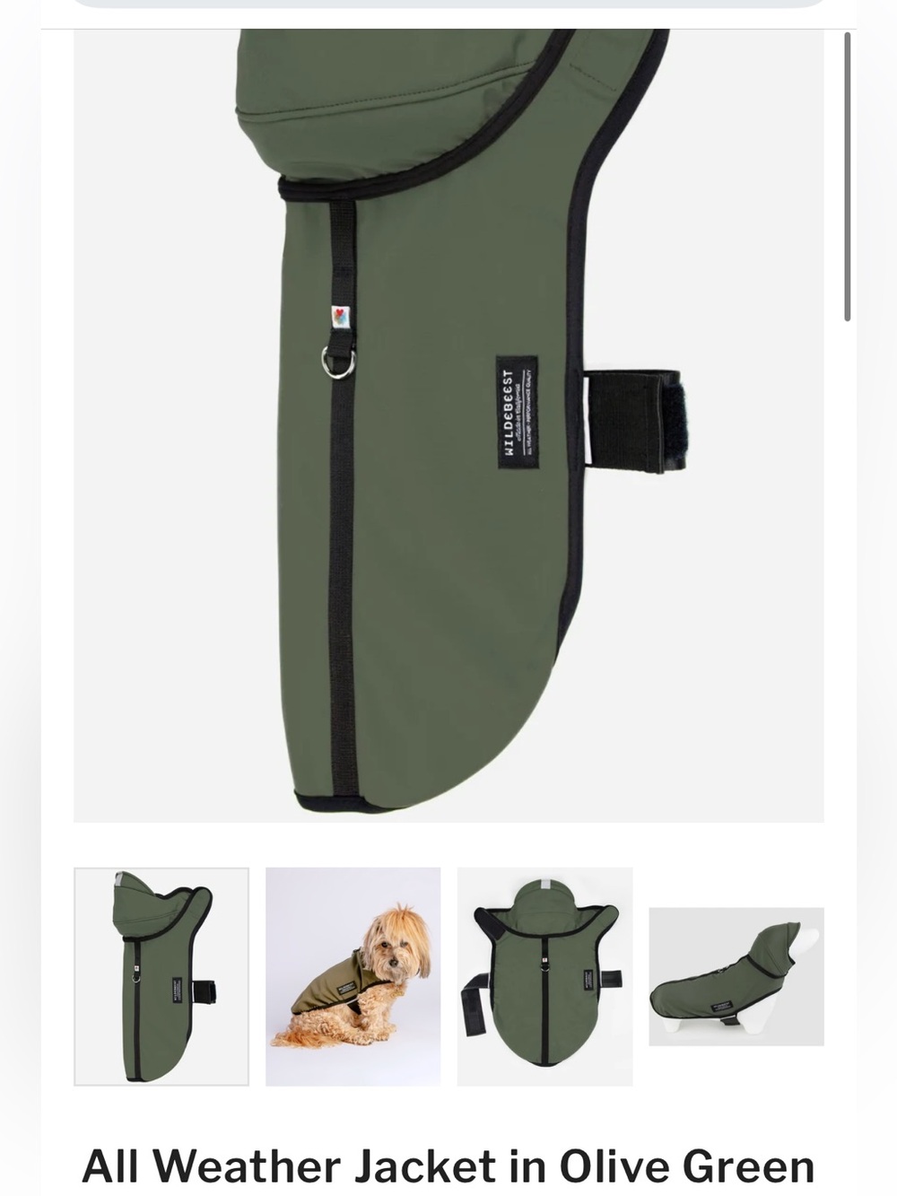 All Weather Dog Jacket - Olive Green - wildbeast